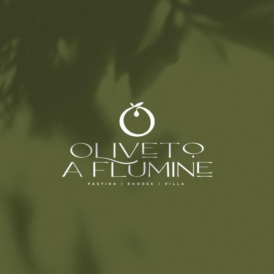 Oliveto A Flumine - Experientia Villa 帕斯蒂达 外观 照片